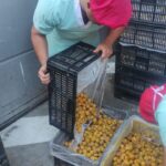 WhatsApp Image 2025-12-26 at 7.59.41 PM