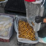 WhatsApp Image 2025-12-26 at 7.59.42 PM